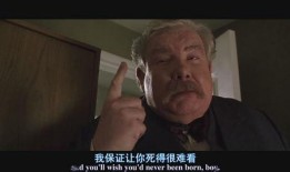 鸡婆在线观看,揭秘网络直播的另类魅力